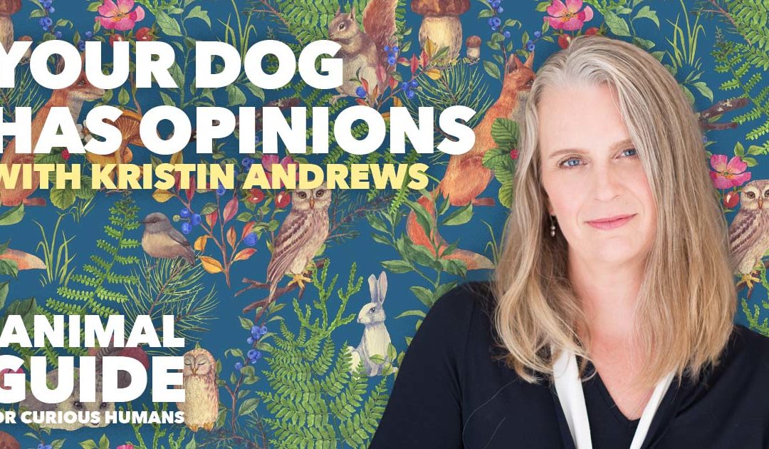 Your Dog Has Opinions