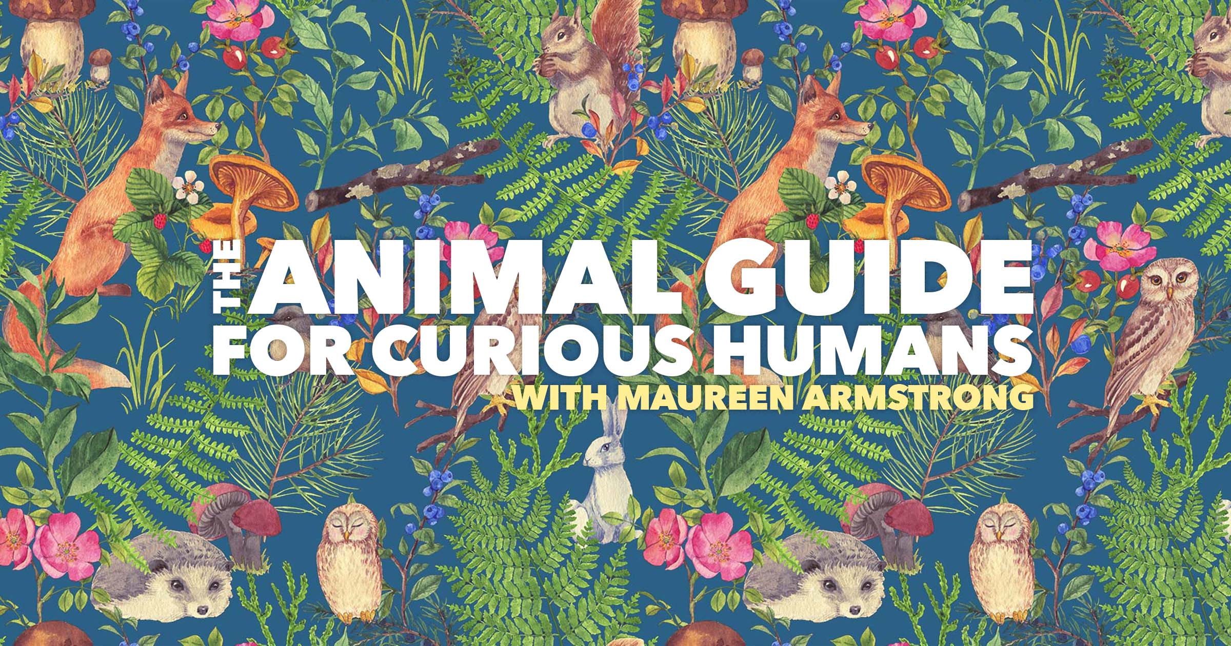 The Animal Guide for Curious Humans with Maureen Armstrong