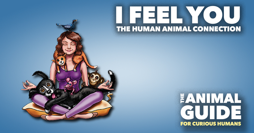 I Feel You: The Human Animal Connection
